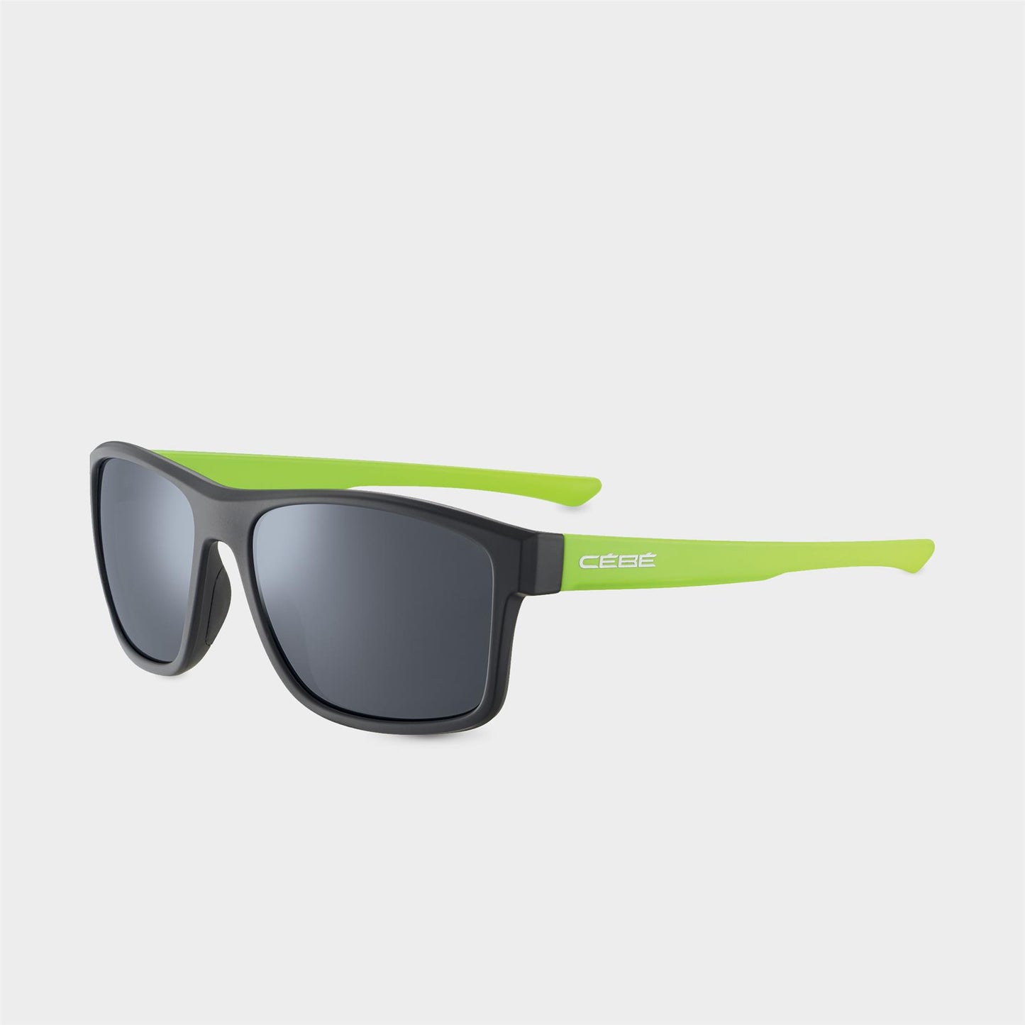 Baxter Sunglasses